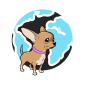 Planet Chihuahua
